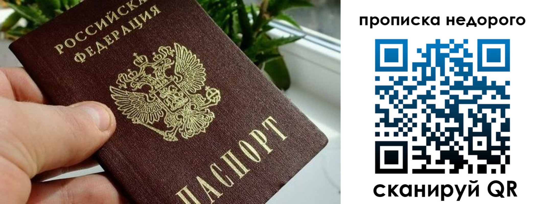 прописка для кредита в Мирном